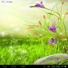 Förutom levande bakgrundsbild till Android Material design 3D ström, ladda ner gratis live wallpaper APK The sparkling flowers andra.
