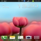 Förutom levande bakgrundsbild till Android Pink ström, ladda ner gratis live wallpaper APK Tulip 3D andra.