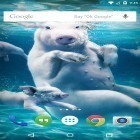 Förutom levande bakgrundsbild till Android Andaman paradise ström, ladda ner gratis live wallpaper APK Underwater animals andra.