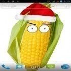 Ladda ner Watching corn på Android, liksom andra gratis live wallpapers för Huawei Ascend G300.