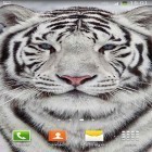 Förutom levande bakgrundsbild till Android Purple lavender ström, ladda ner gratis live wallpaper APK White tiger andra.