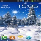 Förutom levande bakgrundsbild till Android Polar bear love ström, ladda ner gratis live wallpaper APK Winter: Cold sun andra.