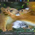 Förutom levande bakgrundsbild till Android Beautiful flowers ström, ladda ner gratis live wallpaper APK Winter squirrel andra.