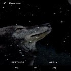 Ladda ner Wolf and Moon på Android, liksom andra gratis live wallpapers för Samsung Galaxy Pro.