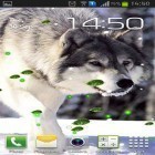 Förutom levande bakgrundsbild till Android Electric ström, ladda ner gratis live wallpaper APK Wolves mistery andra.