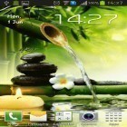 Förutom levande bakgrundsbild till Android Electric matrix ström, ladda ner gratis live wallpaper APK Zen garden andra.