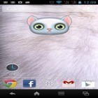 Förutom levande bakgrundsbild till Android test ström, ladda ner gratis live wallpaper APK Zoo: Cat andra.