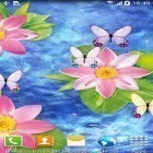 Förutom levande bakgrundsbild till Android Garden flowers ström, ladda ner gratis live wallpaper APK Butterflies by Amax LWPS andra.
